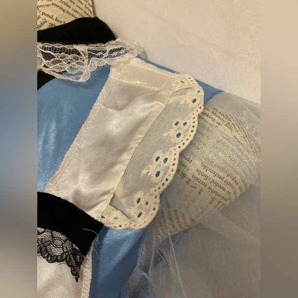 Alice in Wonderland Juniors costume dress - Picture 8 of 12